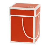 Carillon Bagutta in Resina N 8592-08 - N 8592-08